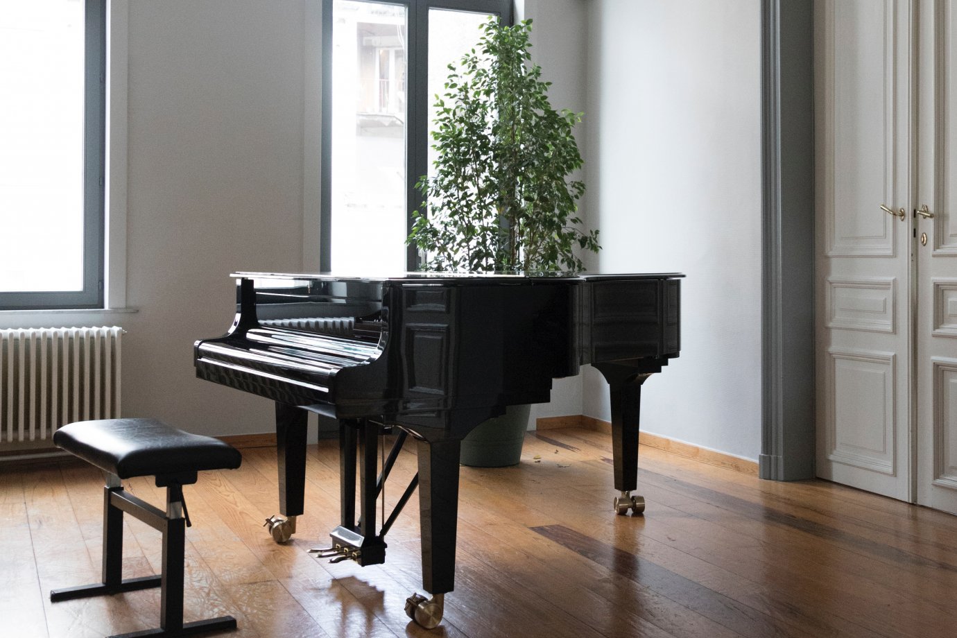Photo by Jean-Philippe Delberghe on Unsplash Grand piano in a spacious room with a green plant behind it near a window